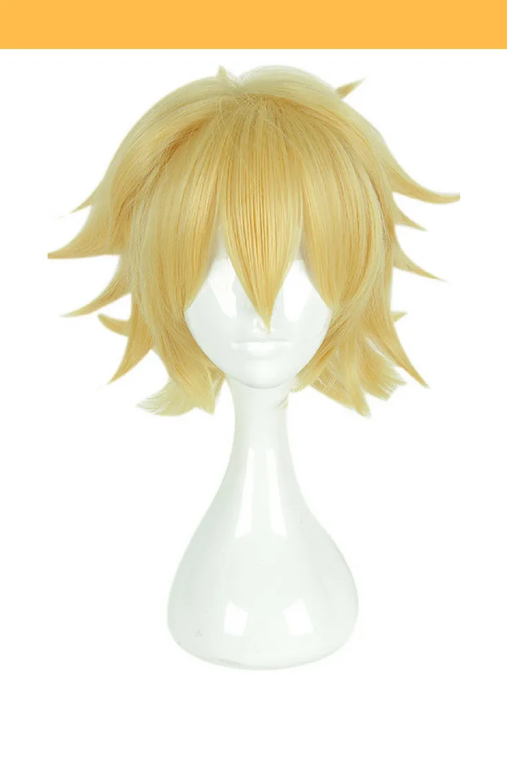 Aotu World King Cosplay Wig