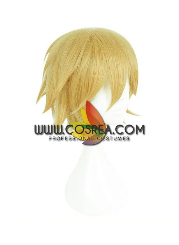 Aotu World King Cosplay Wig