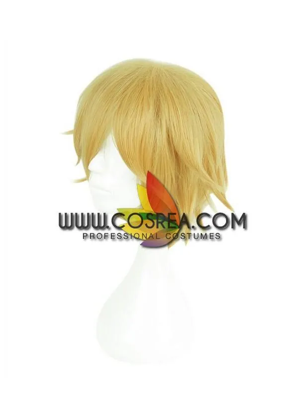 Aotu World King Cosplay Wig