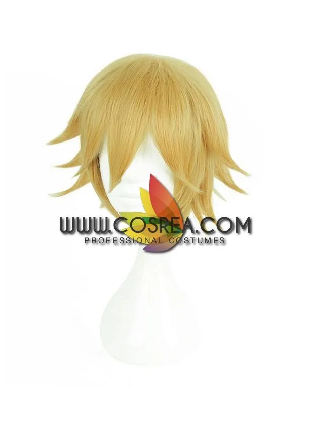 Aotu World King Cosplay Wig