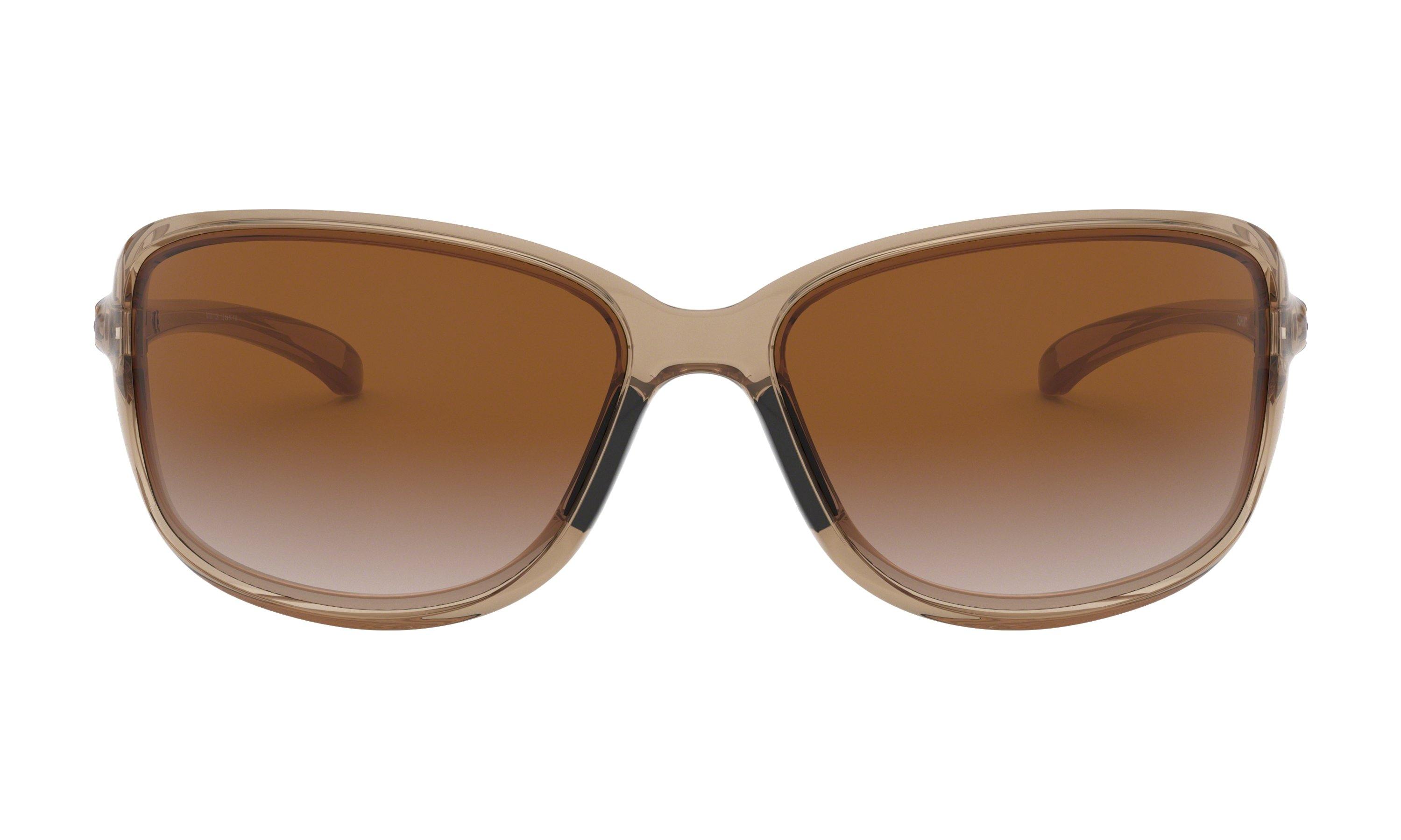 Cohort Sunglasses