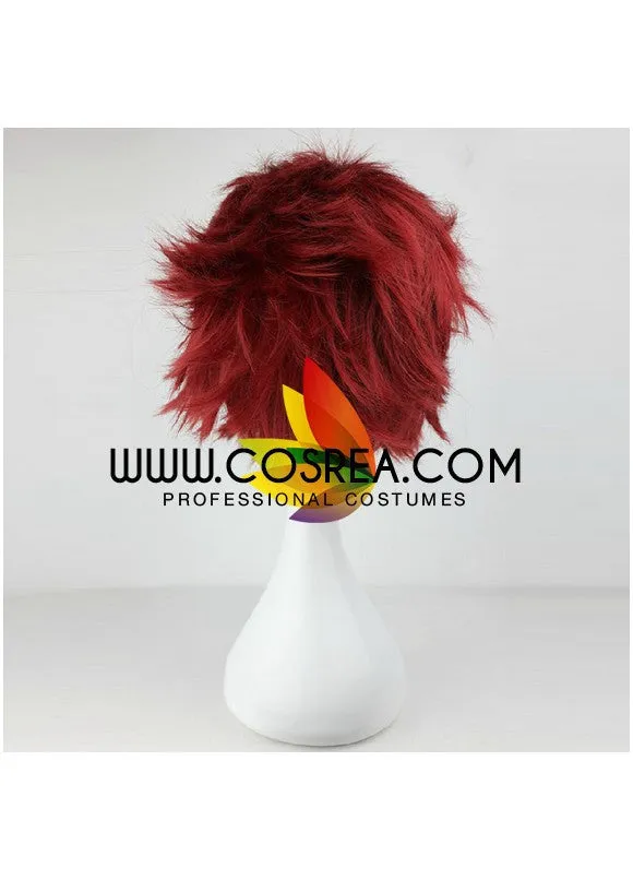 Fate Zero Rider Cosplay Wig