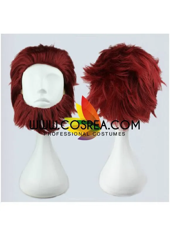 Fate Zero Rider Cosplay Wig