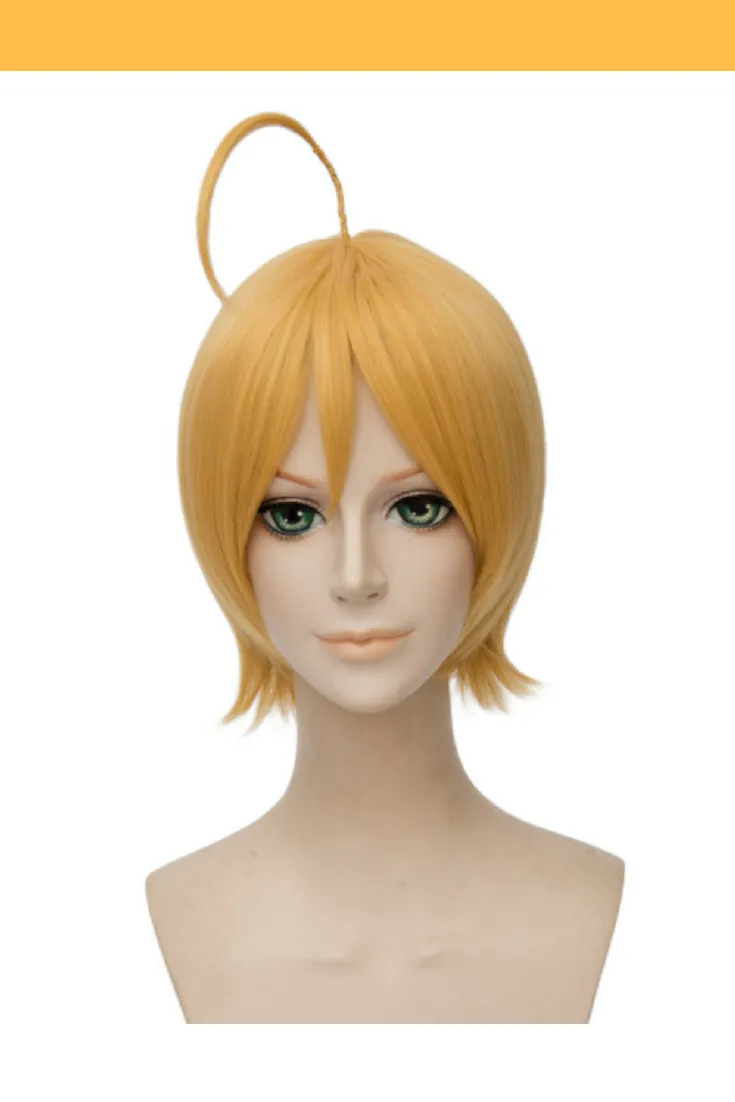 Food Wars Ikumi Mito Cosplay Wig