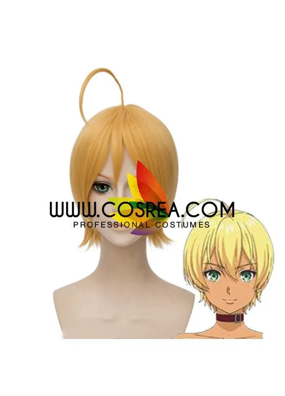 Food Wars Ikumi Mito Cosplay Wig