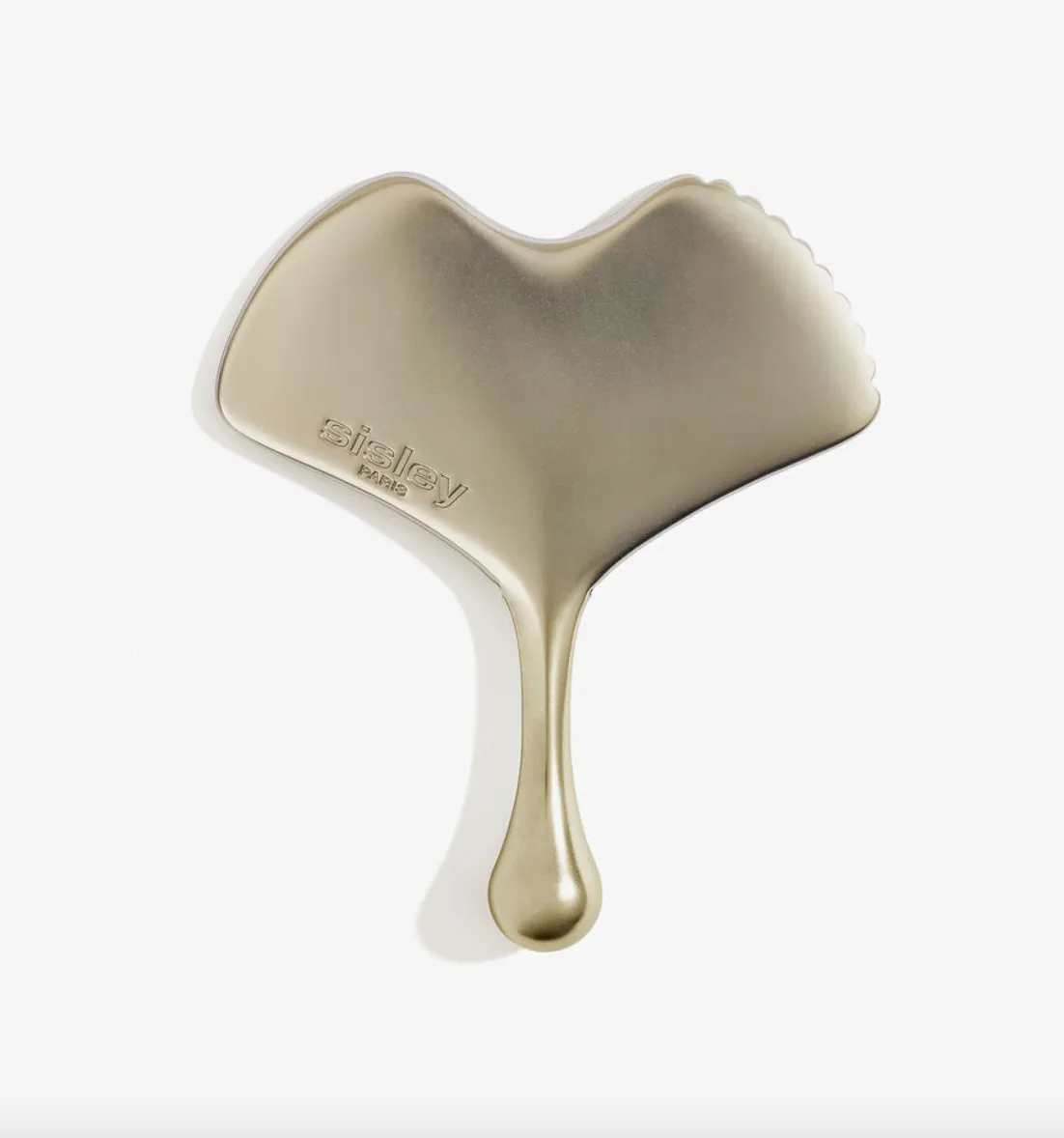 GINKGO GUA SHA