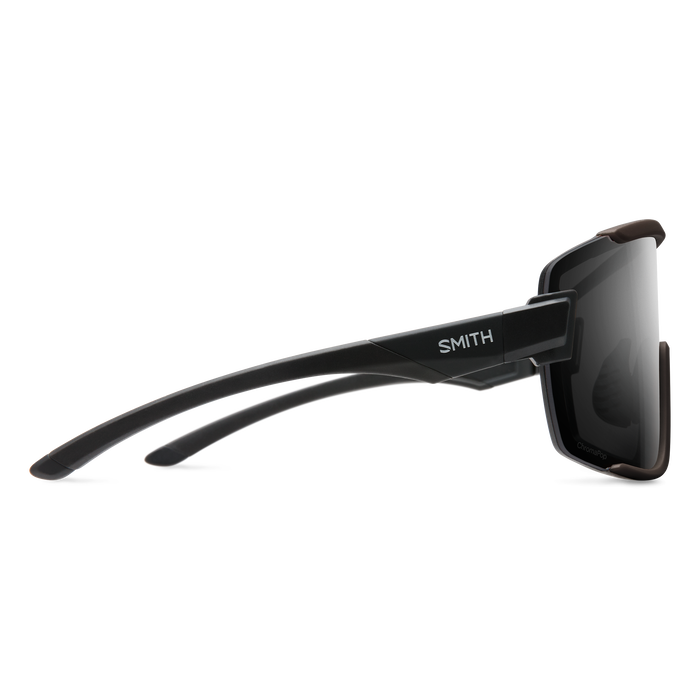 Wildcat Sunglasses